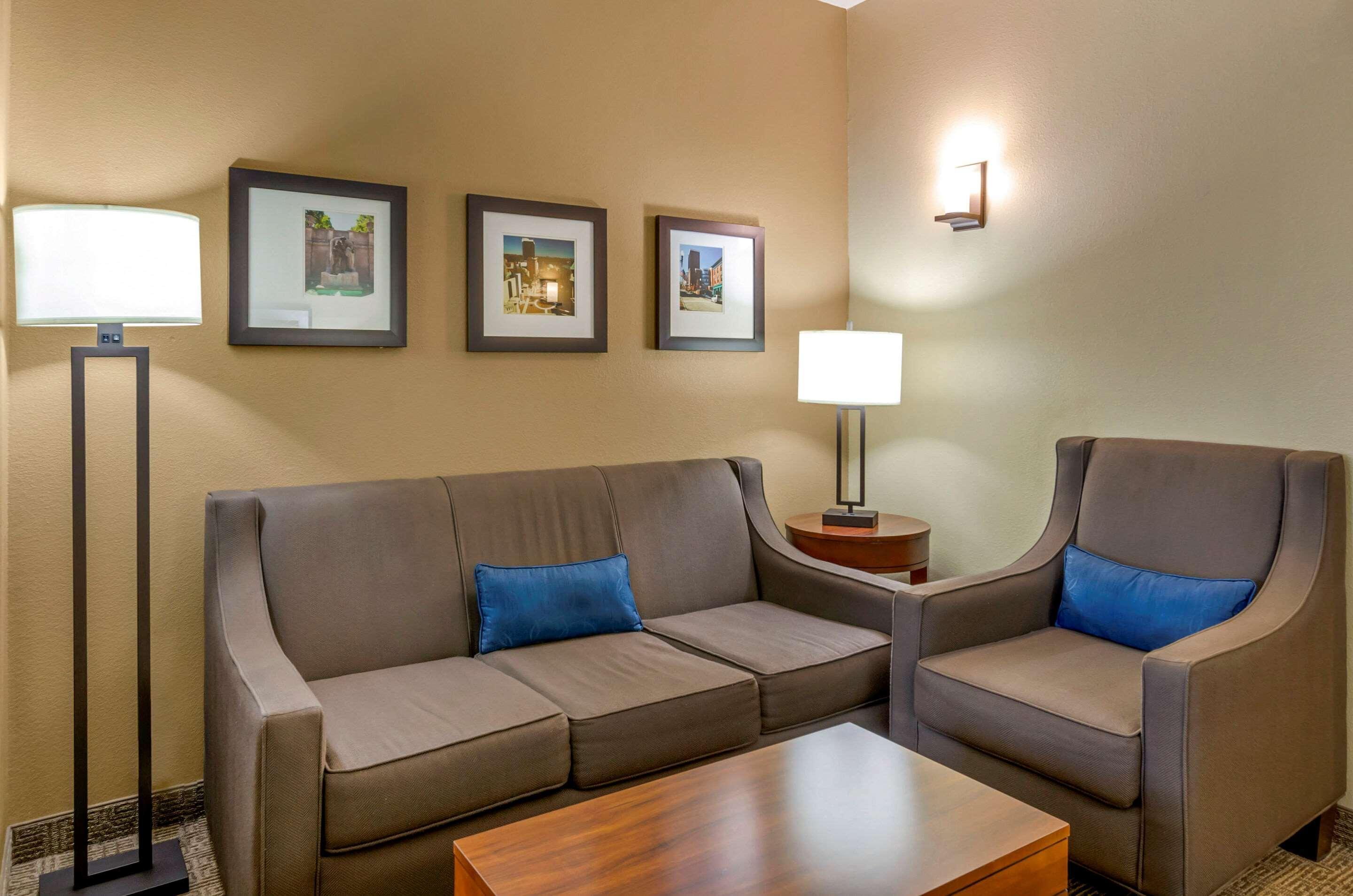 Comfort Inn & Suites Lynchburg Airport - University Area Экстерьер фото